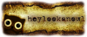 HEYLOOKANOWL